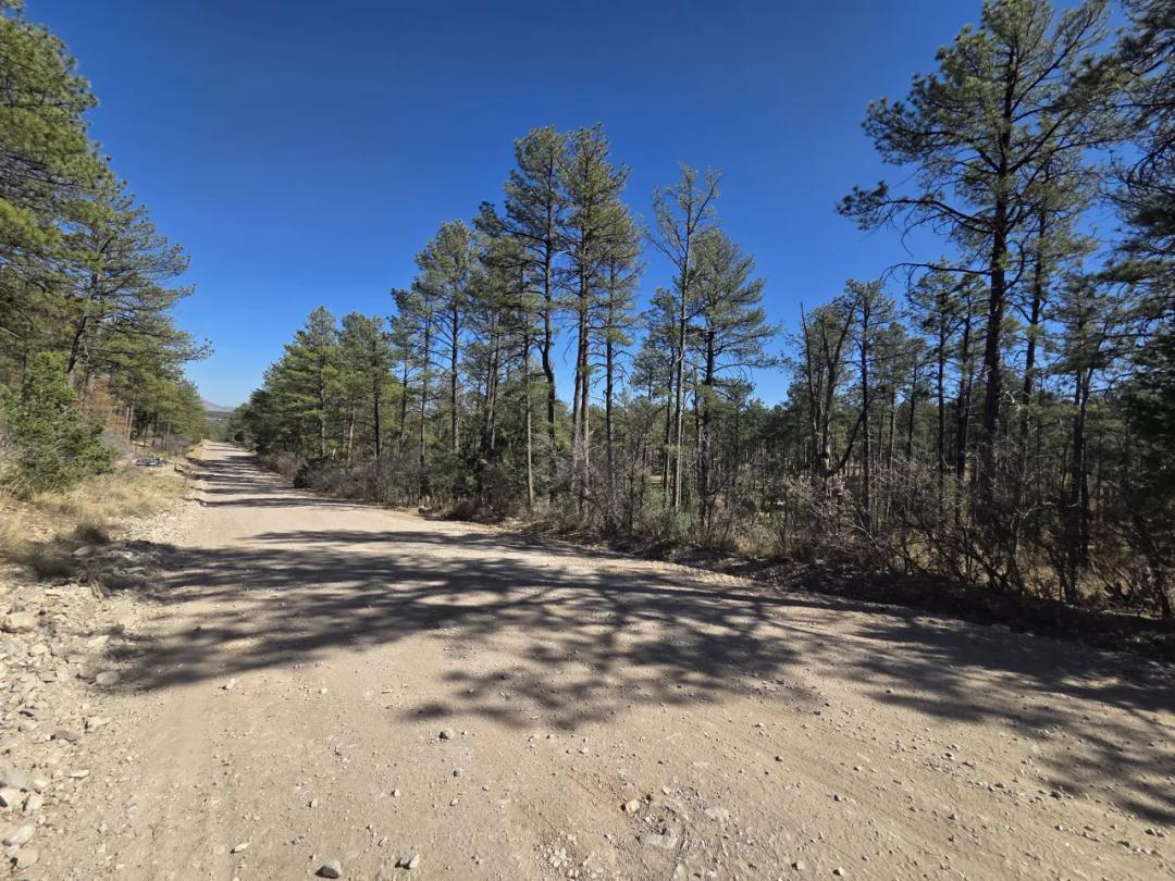 Residential Lot. Developing Area Timberon New Mexico