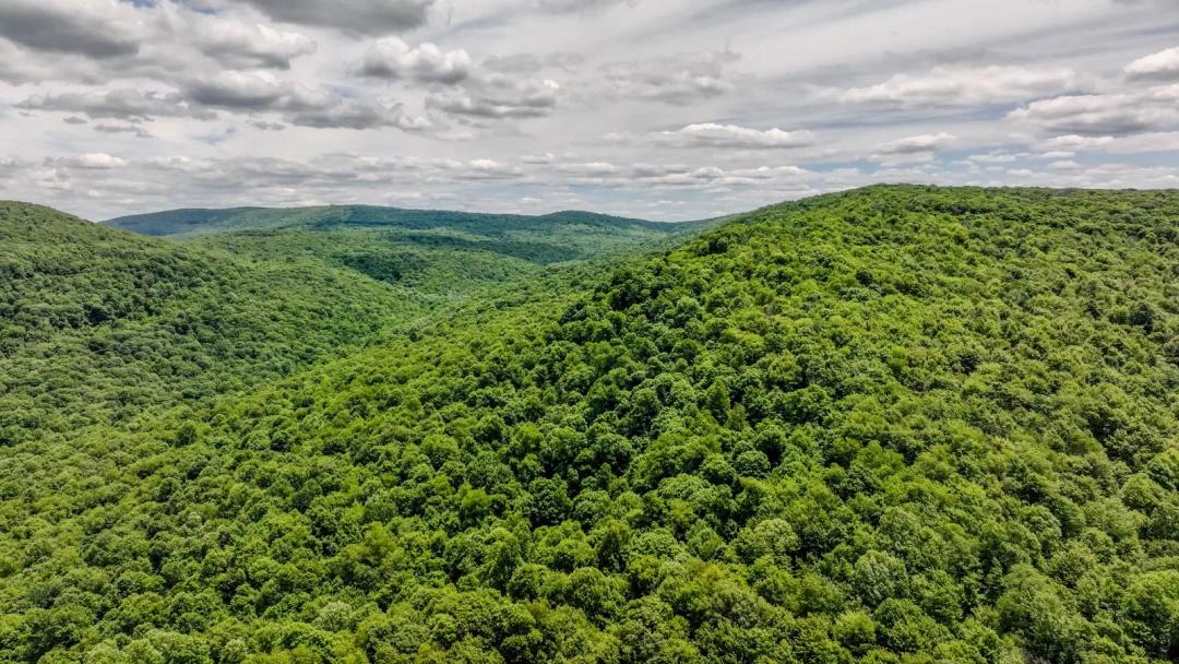 Secluded Recreational Tract Bordering Ohiopyle State Park