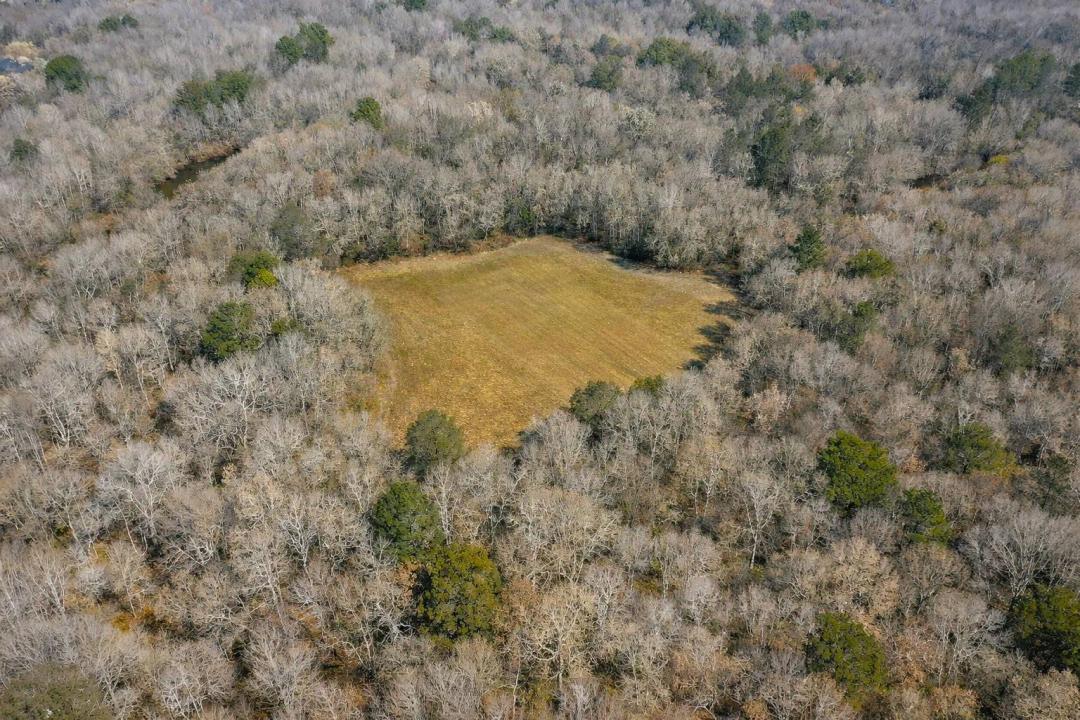 A Bottomland Powerhouse - Crenshaw County 340