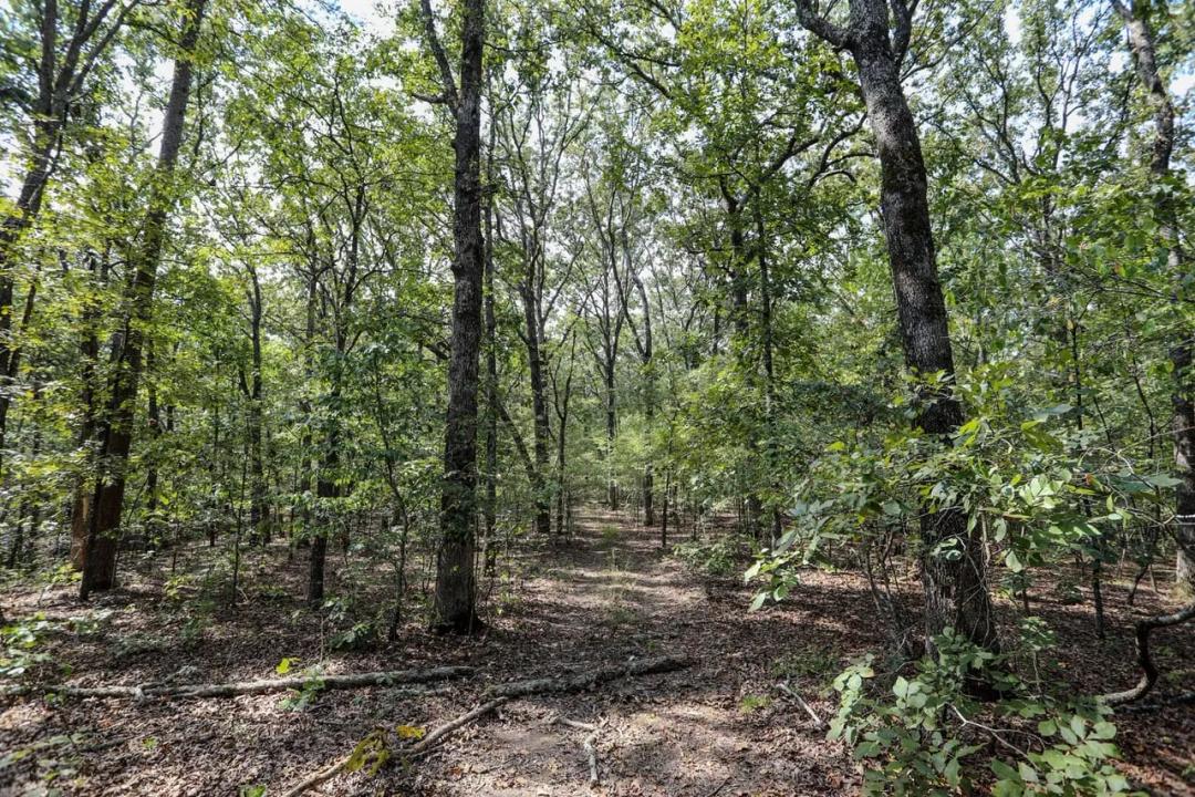 65.84 +/- ac near Lake Wappapello for sale in Wayne County, MO