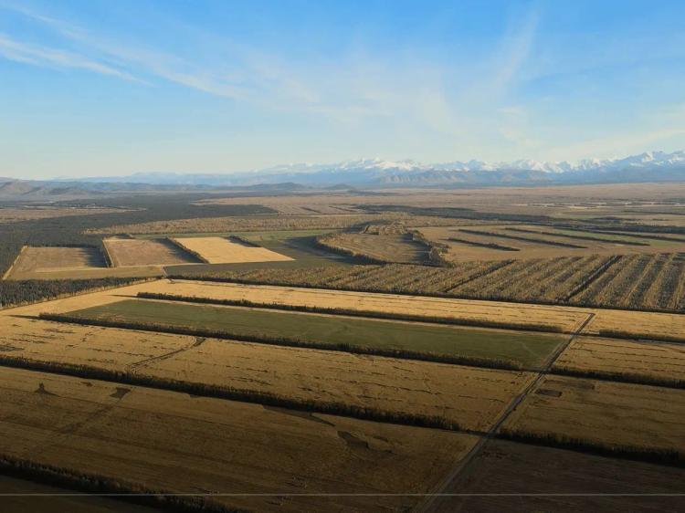 Schultz Farms