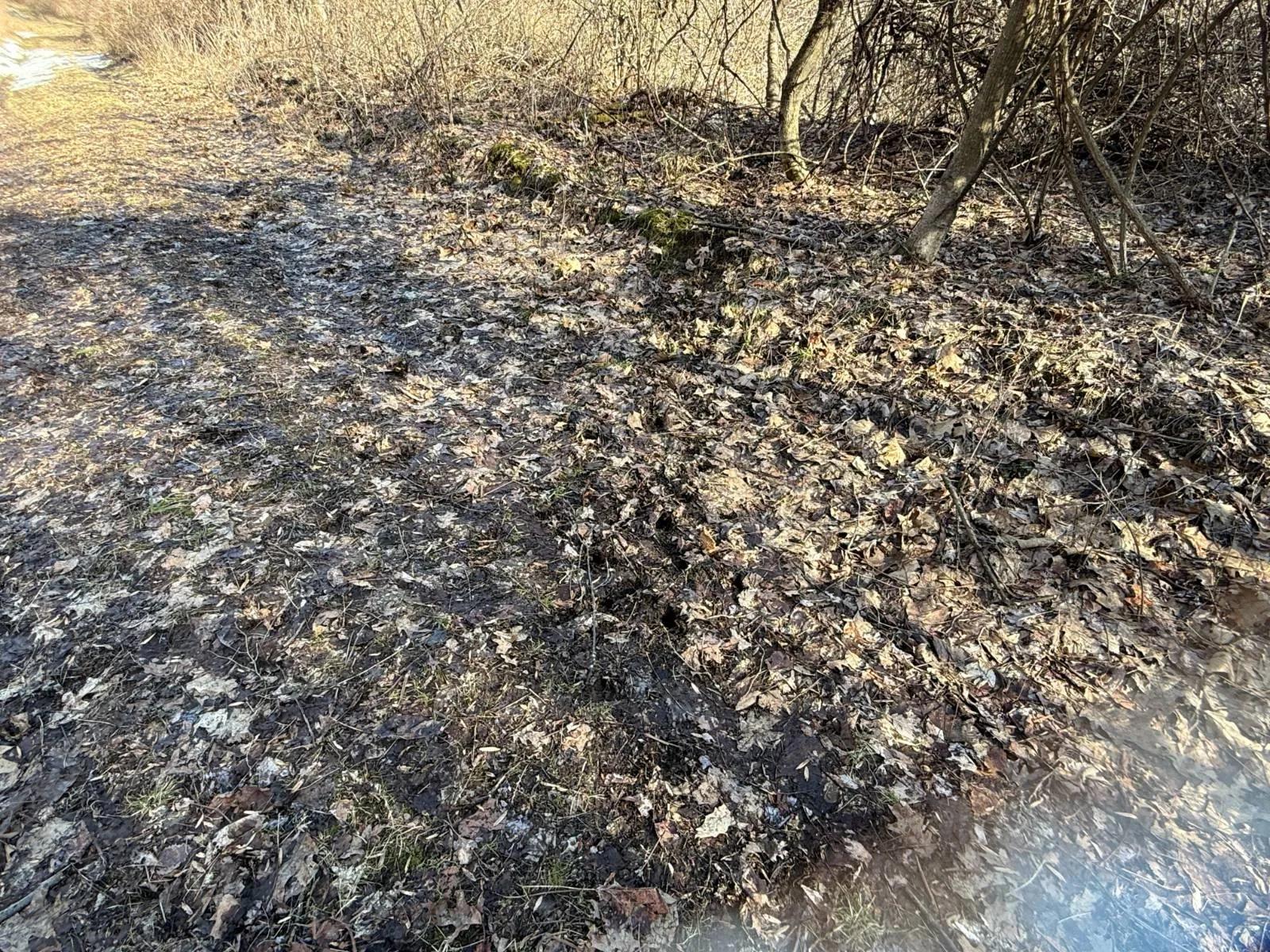 14017370-16