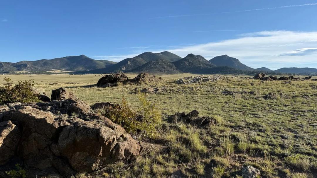 Turner Gulch Rd 578 +/-