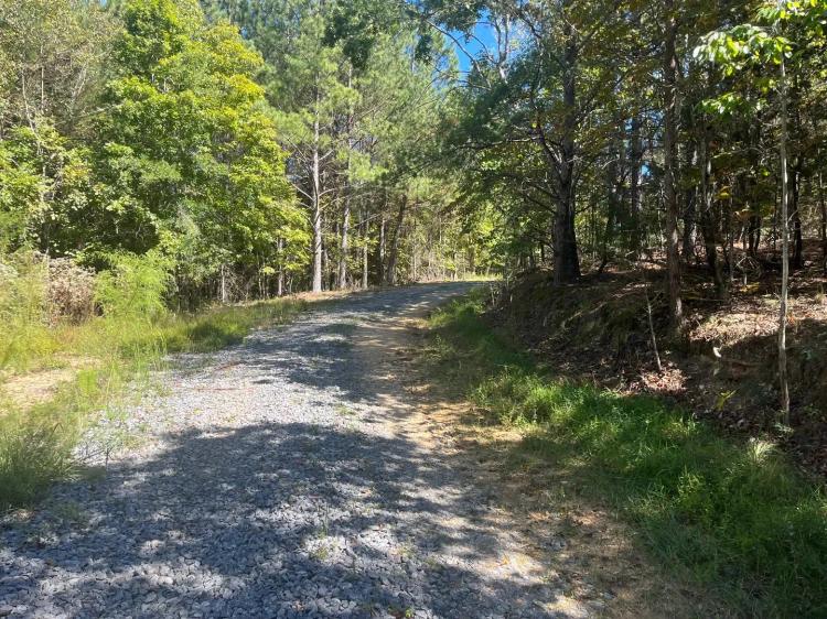 Rare 6.56+- acres in Hamilton County 