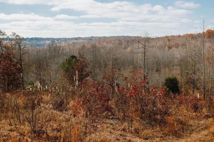 KY/TN State Line Building Lot 10 acres