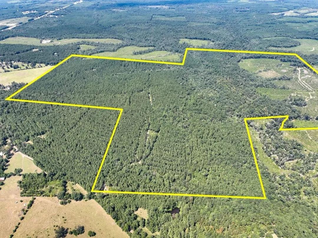 356 Acres | County Road 314 | Jasper County