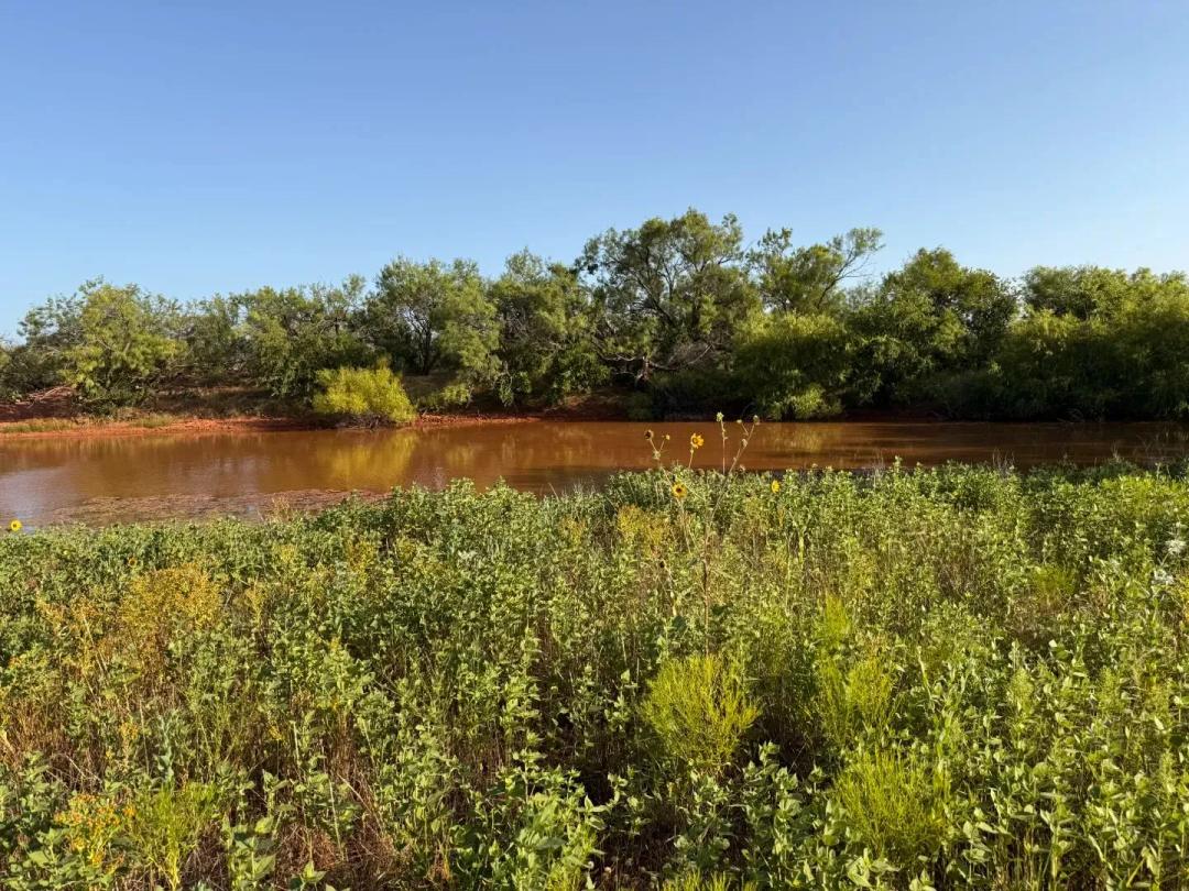 New Listing!!! 99+/- Ac (Tr 7), Taylor Co