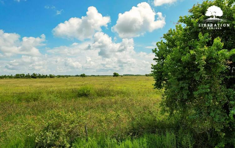Rock Island Tract 8 | 14+ Acres | Only $15K Down