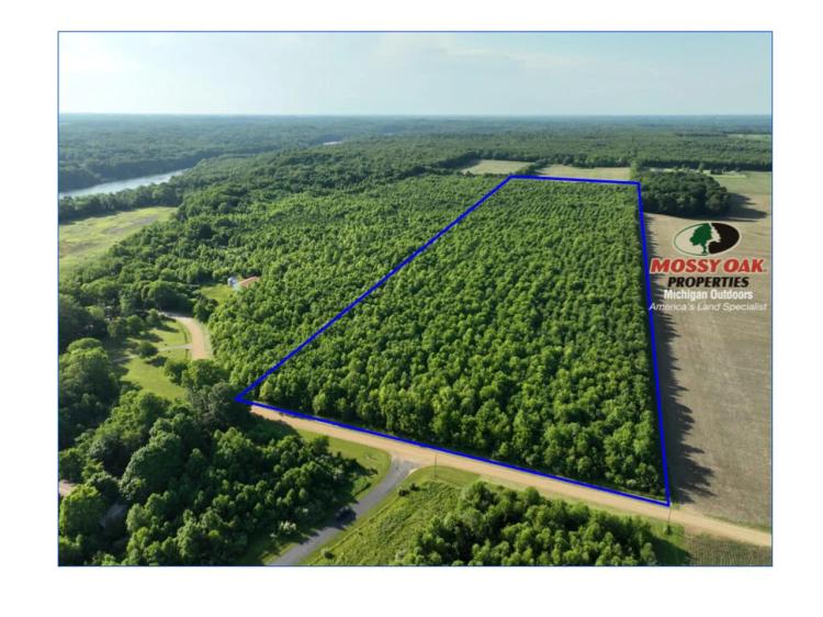 41.55 +/- Lot B Acres Chapin Lake Rd, Pine Tree Farm
