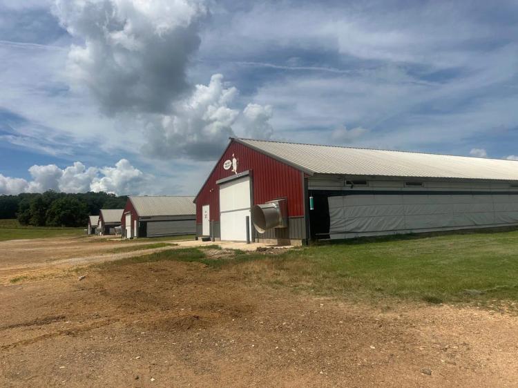 PULLET Poultry Farm on 290 +/- Acres, Home, War Eagle Creek Frontage, Huntsville, Arkansas