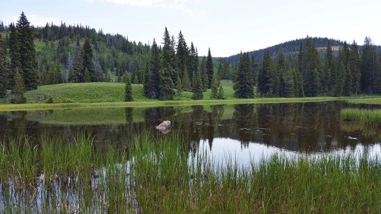 Battle Lake Ranch