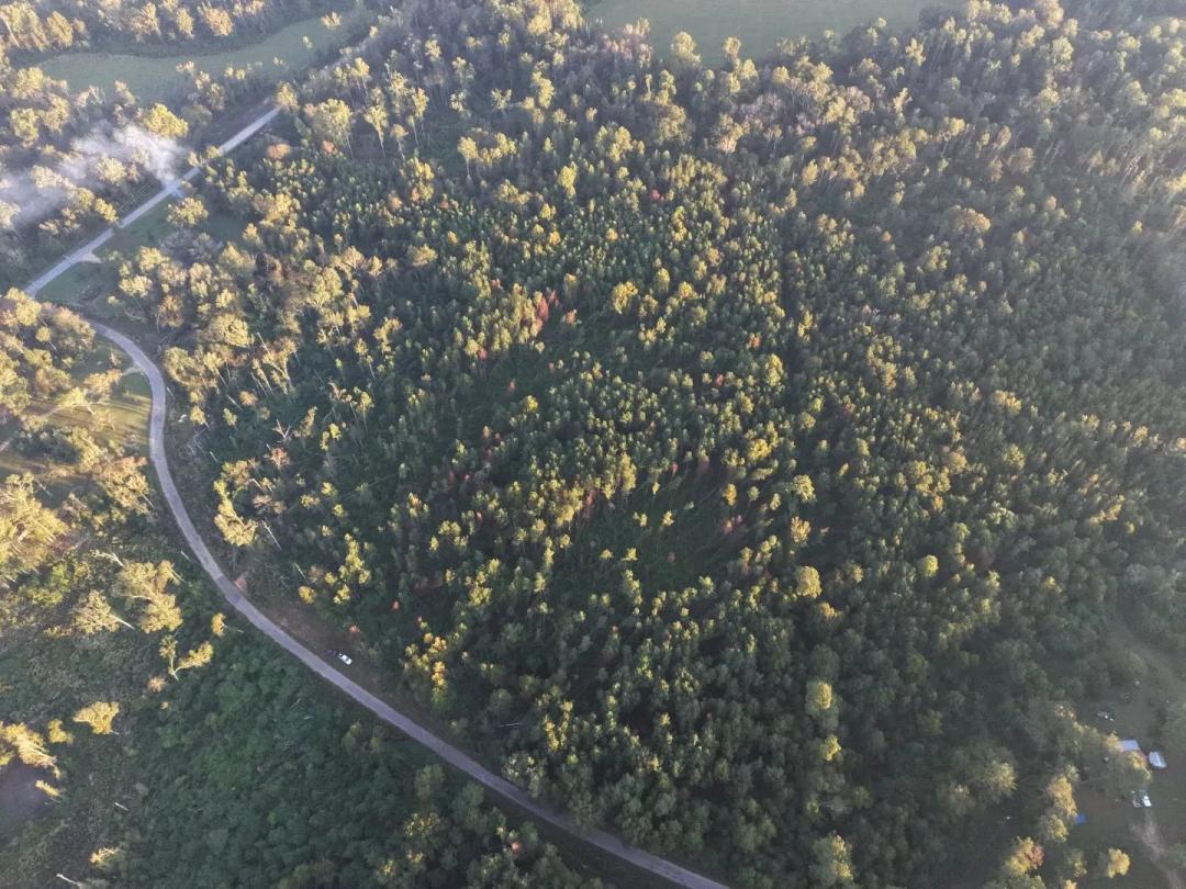 26 Acres in Lawrence County, MS 