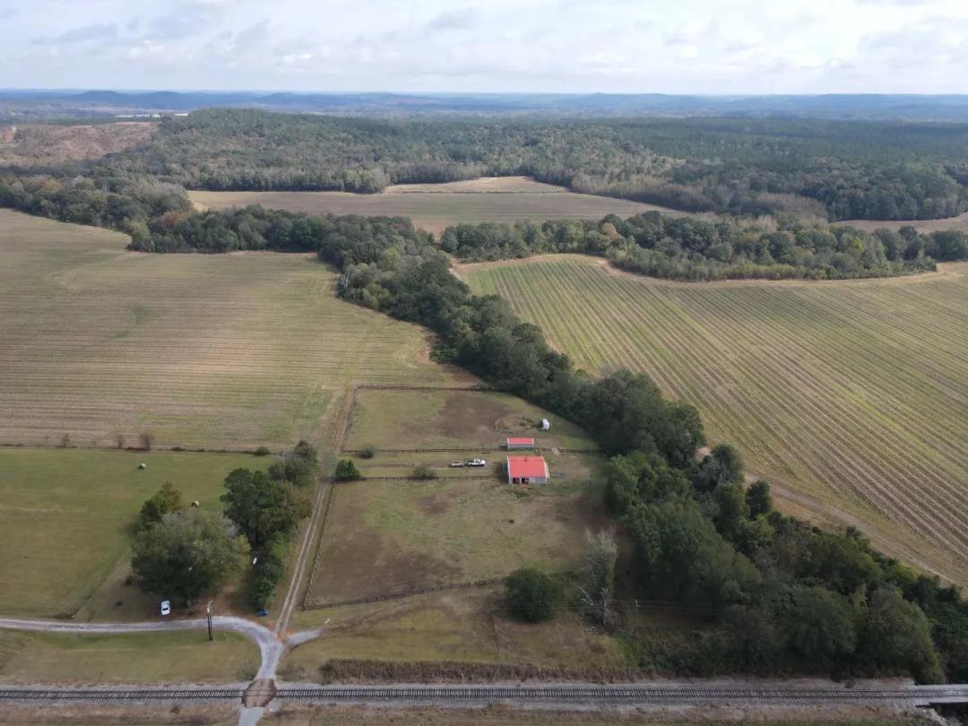 243.3 Acres in Montgomery County, MS 
