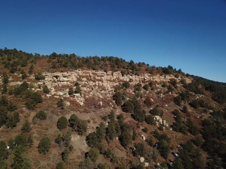 # 165 Timber Canyon