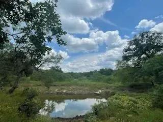 Burnet County 
