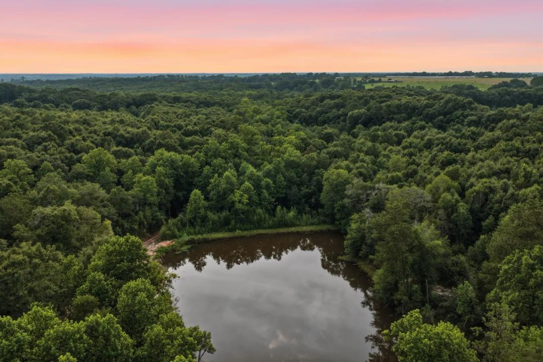 0 County Road 438, Elba, AL 36323