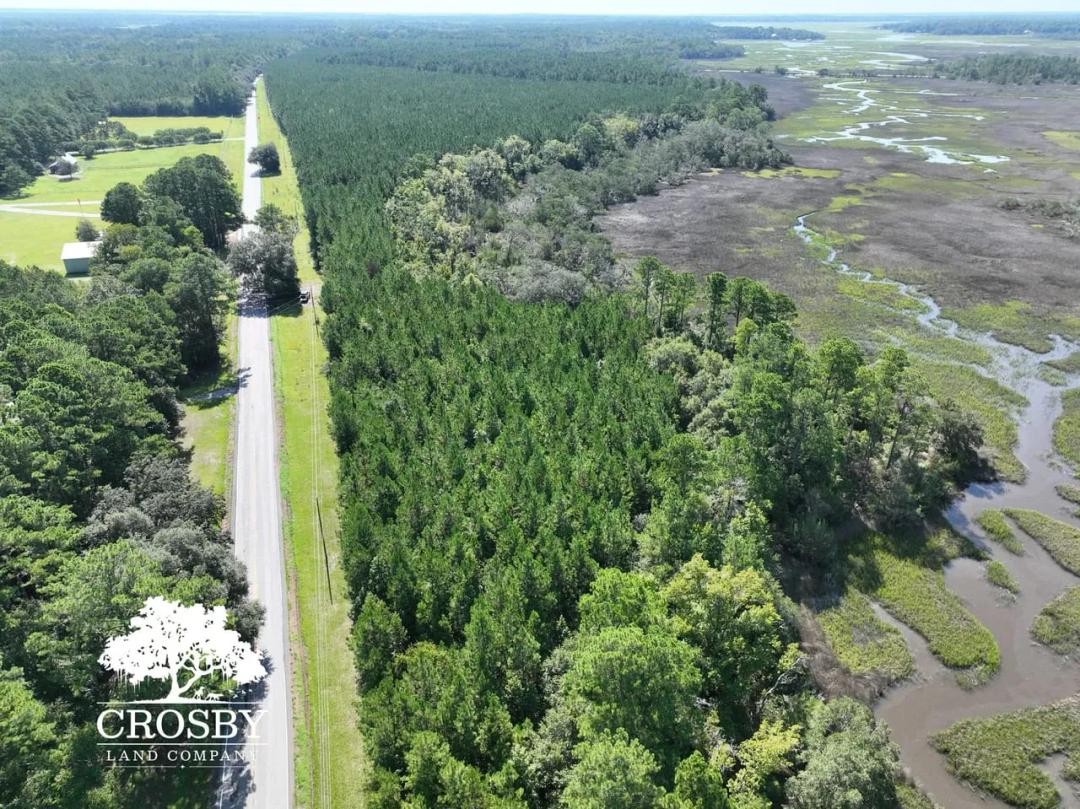 Harris Neck Lot 1