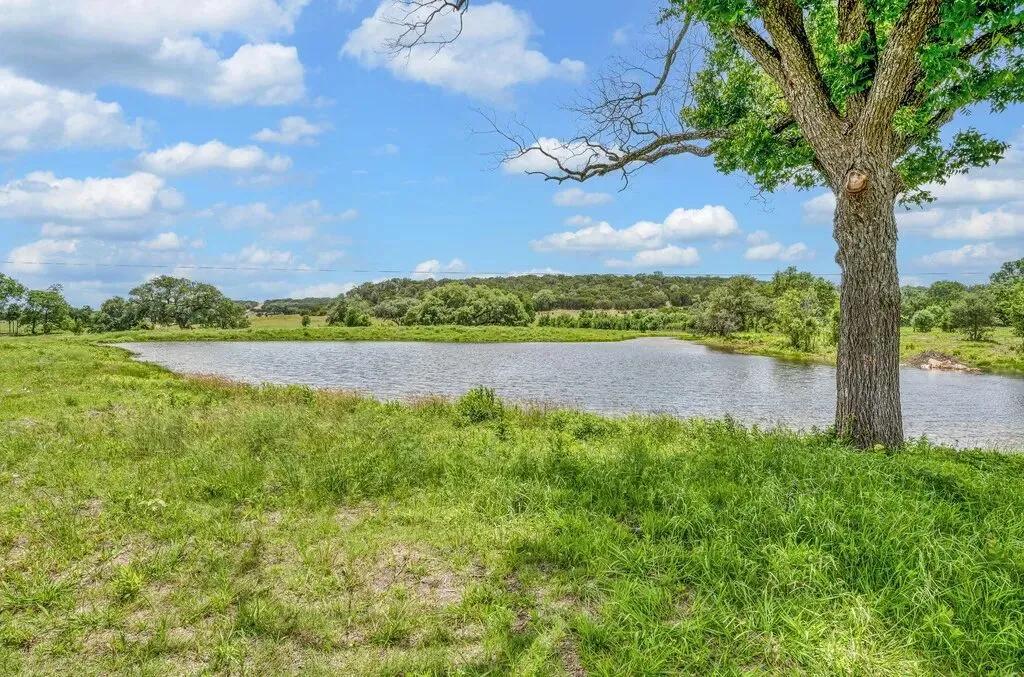 98 Acres with elevation change + spring fed tank!