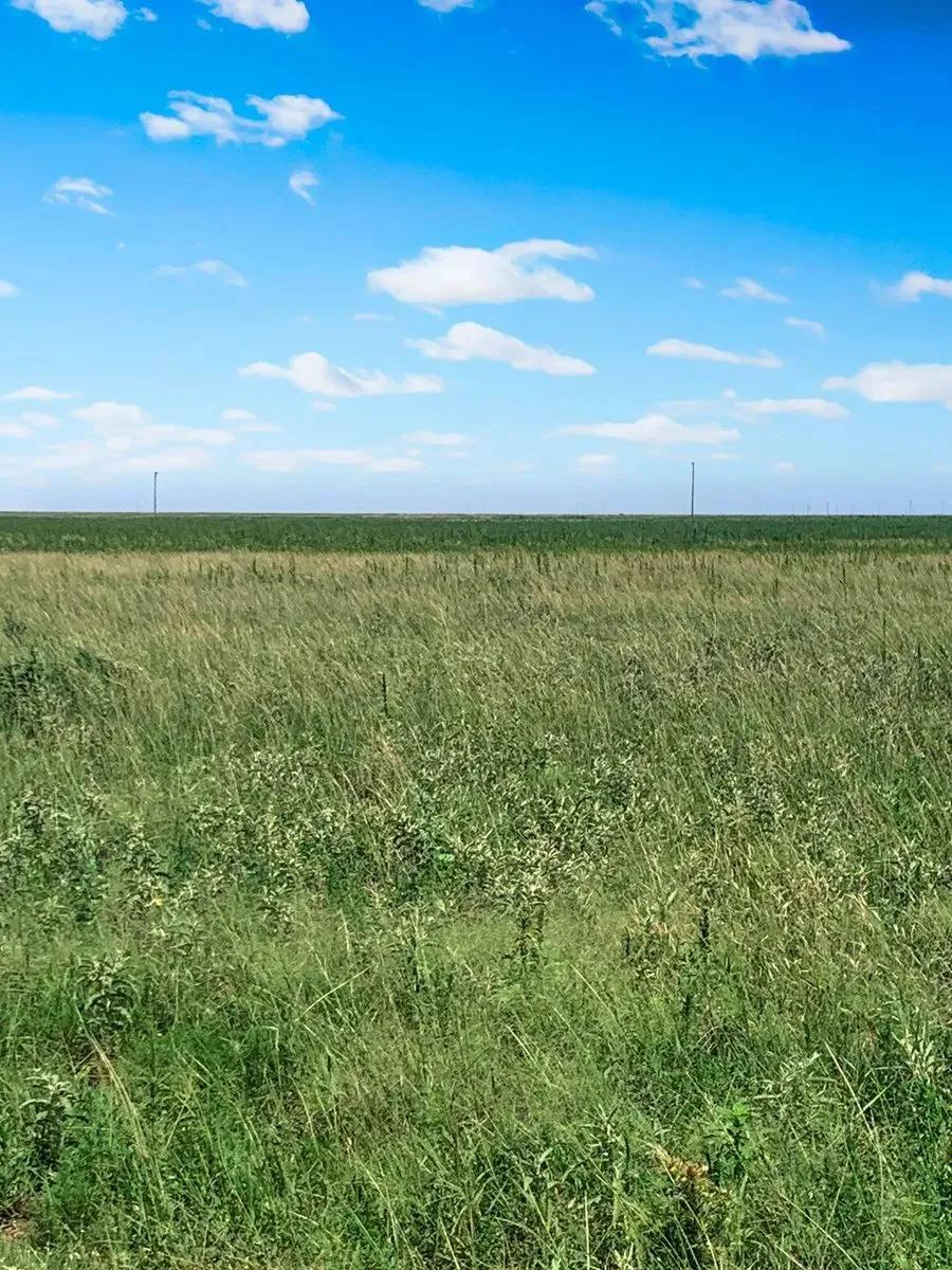 14369435-5