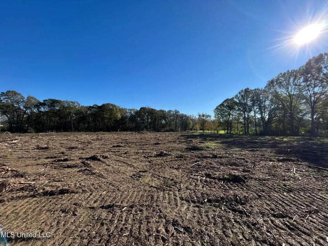 10.87 acres near Mendenhall, Mississippi