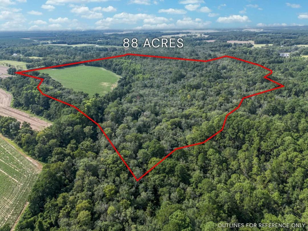 88 Acres - New Bethel Road, Jesup