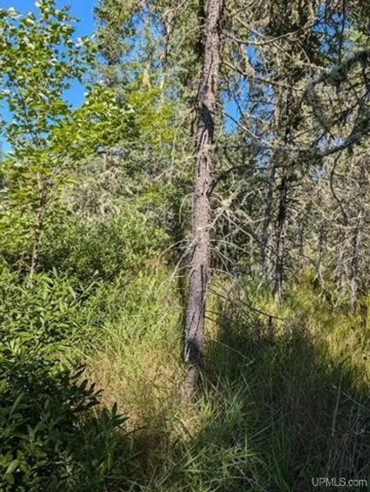 485 +/- Acres U.P. Vacant Land 50152868
