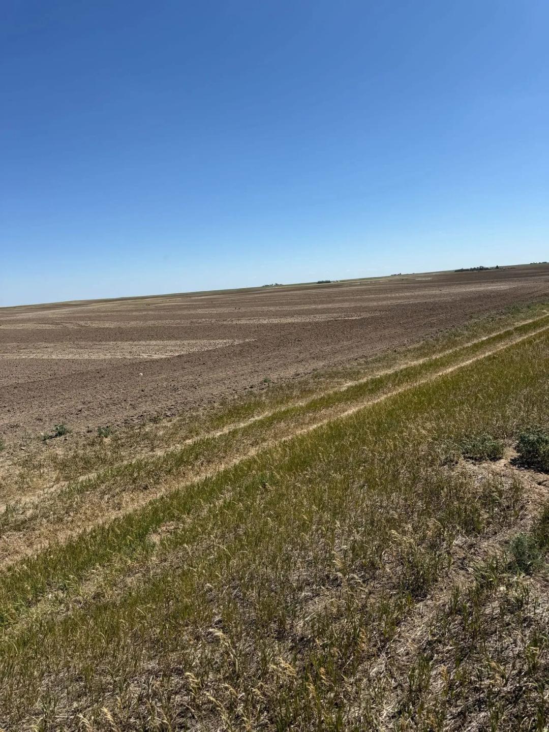 Chugwater 313 Dryland Acreage: 316.36± Acres with Highway Frontage in Goshen County, Wyoming