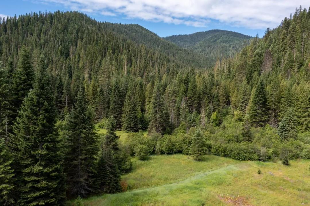 Beaver Creek Runs Through It – 18.8 Acres Near Wallace!