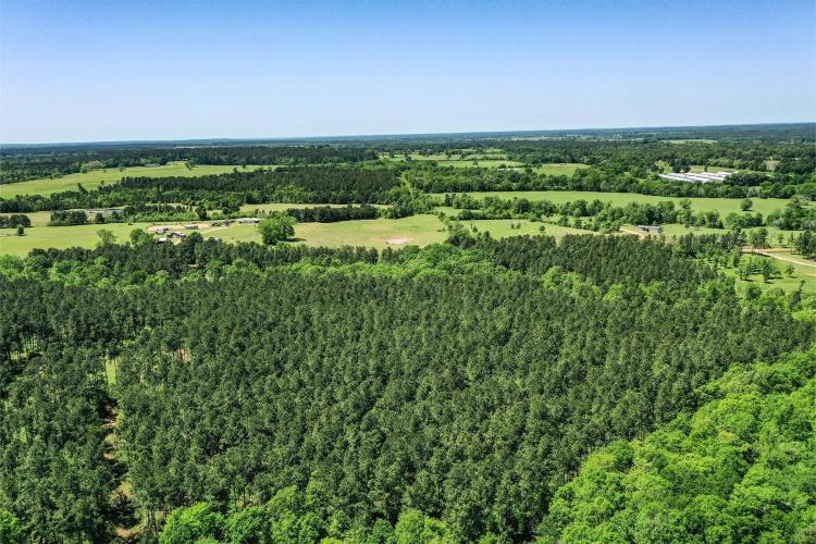 18.897 Acres CR 1050