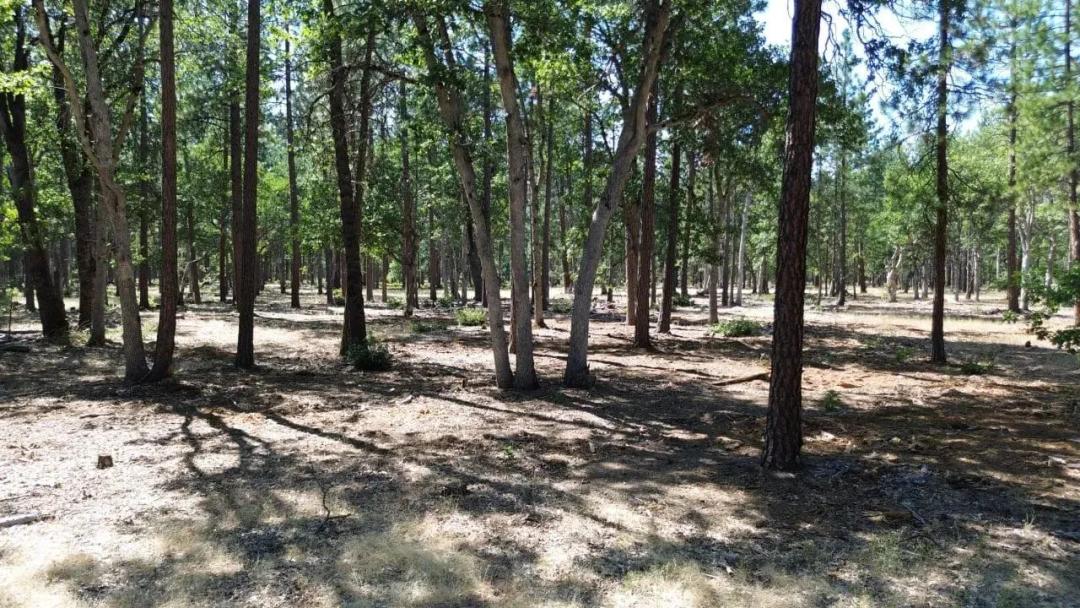 Fall River Valley’s Private 60 Acres in Glenburn