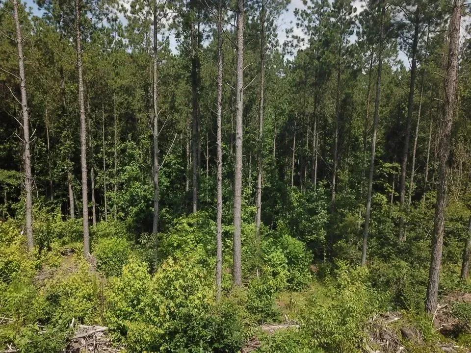 14438352-4