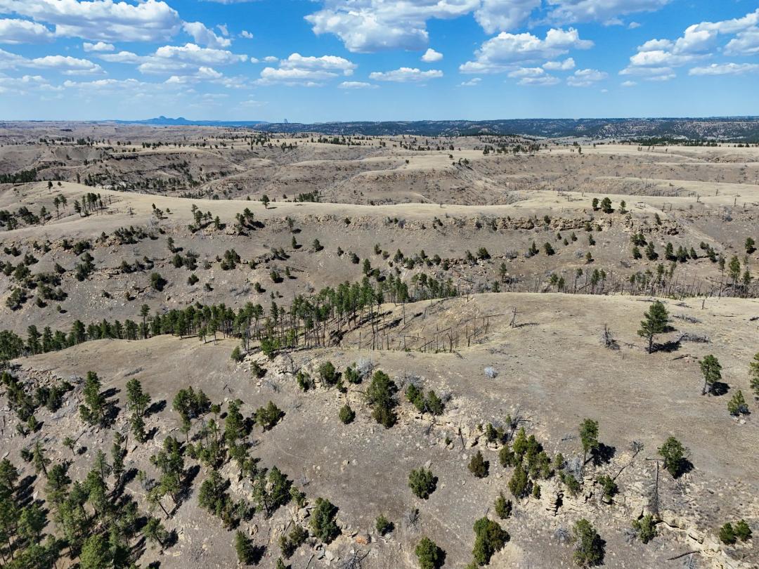 Tower Lookout Ranch