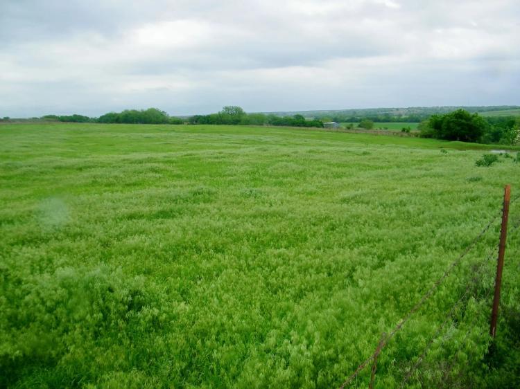 30 Acre Pasture or Homesite in McLain Co Oklahoma