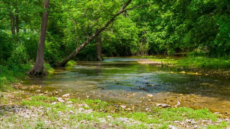 670 Acres with Live Natural Springs