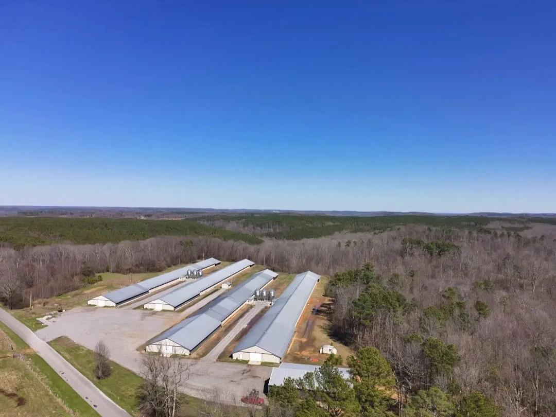 SALE PENDING - Plow Acre Farm – Four Super House Farm in Franklin Co, AL