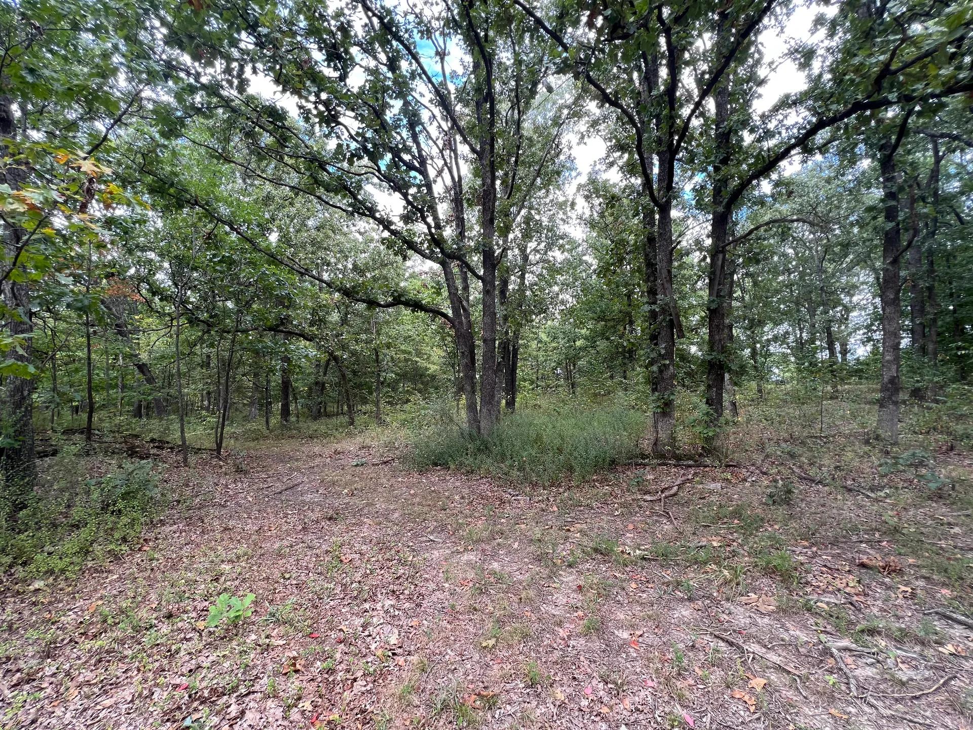 14491399-7