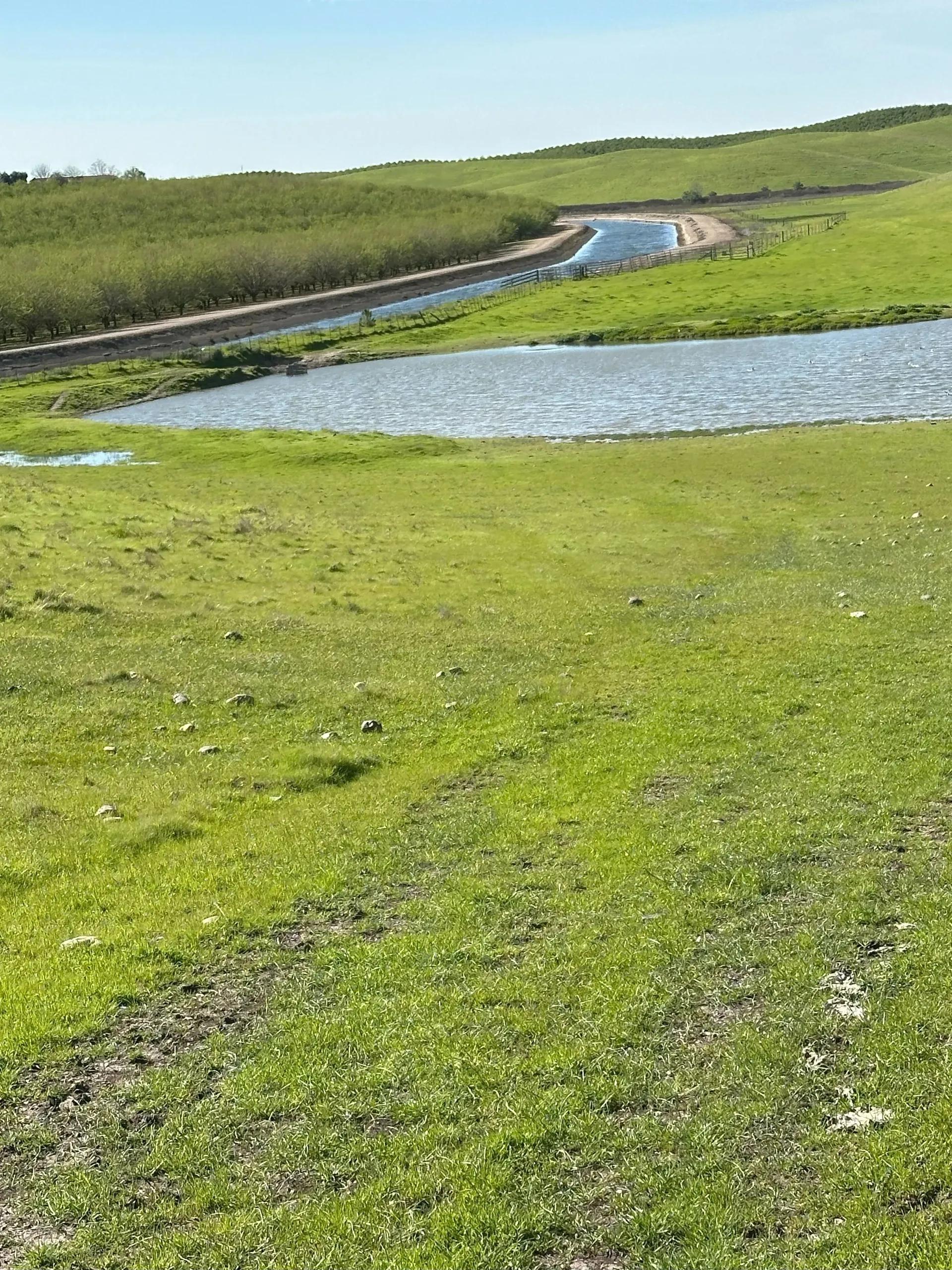 14541746-0