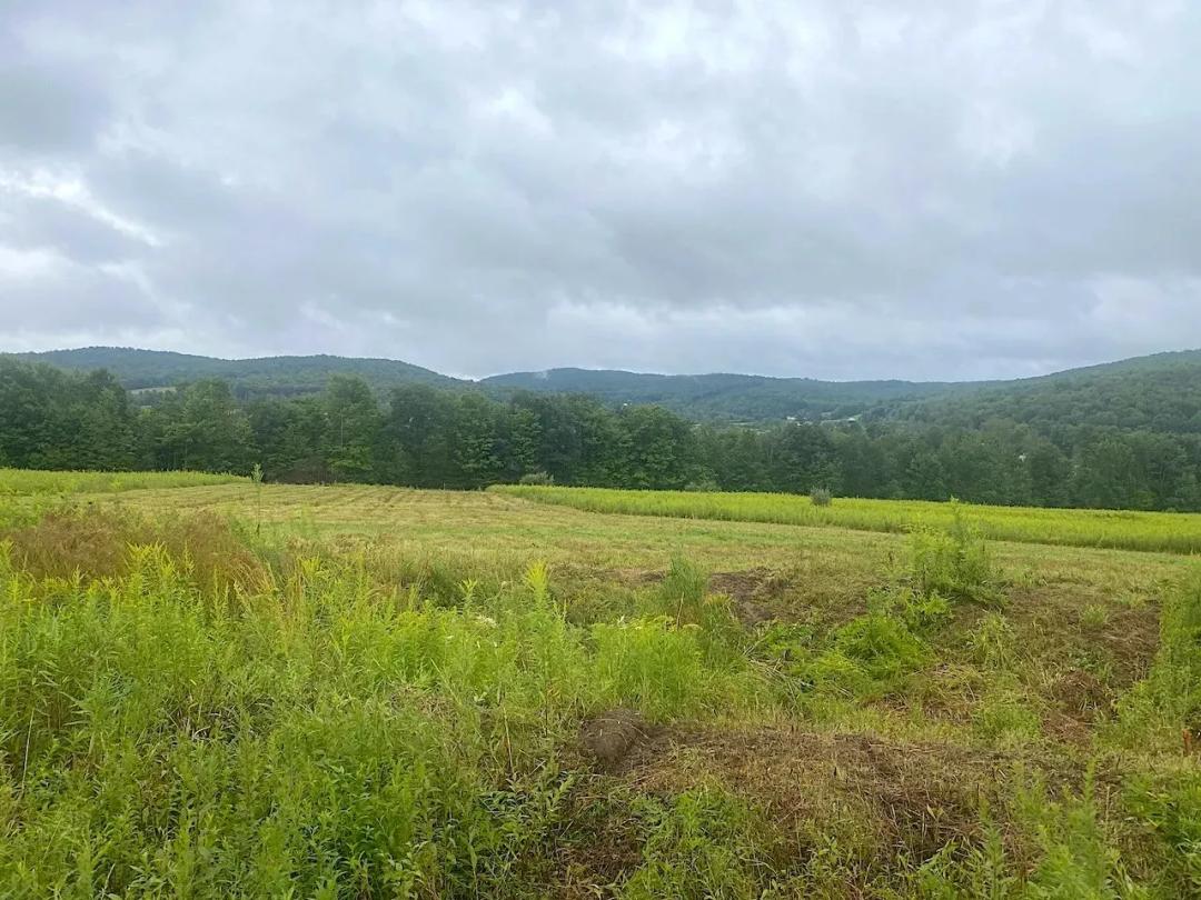 60 acres Hunting and Recreational Land with Building Sites in Wirt NY State Route 275