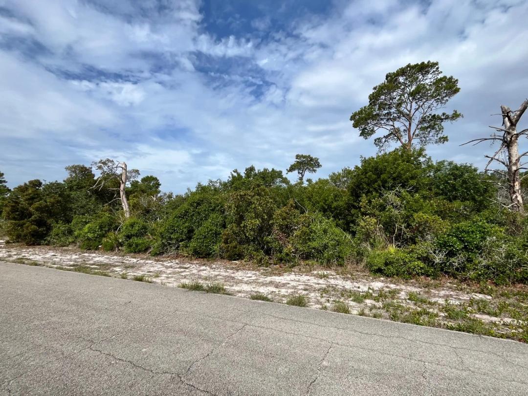 Single or Multi Lot Opportunity