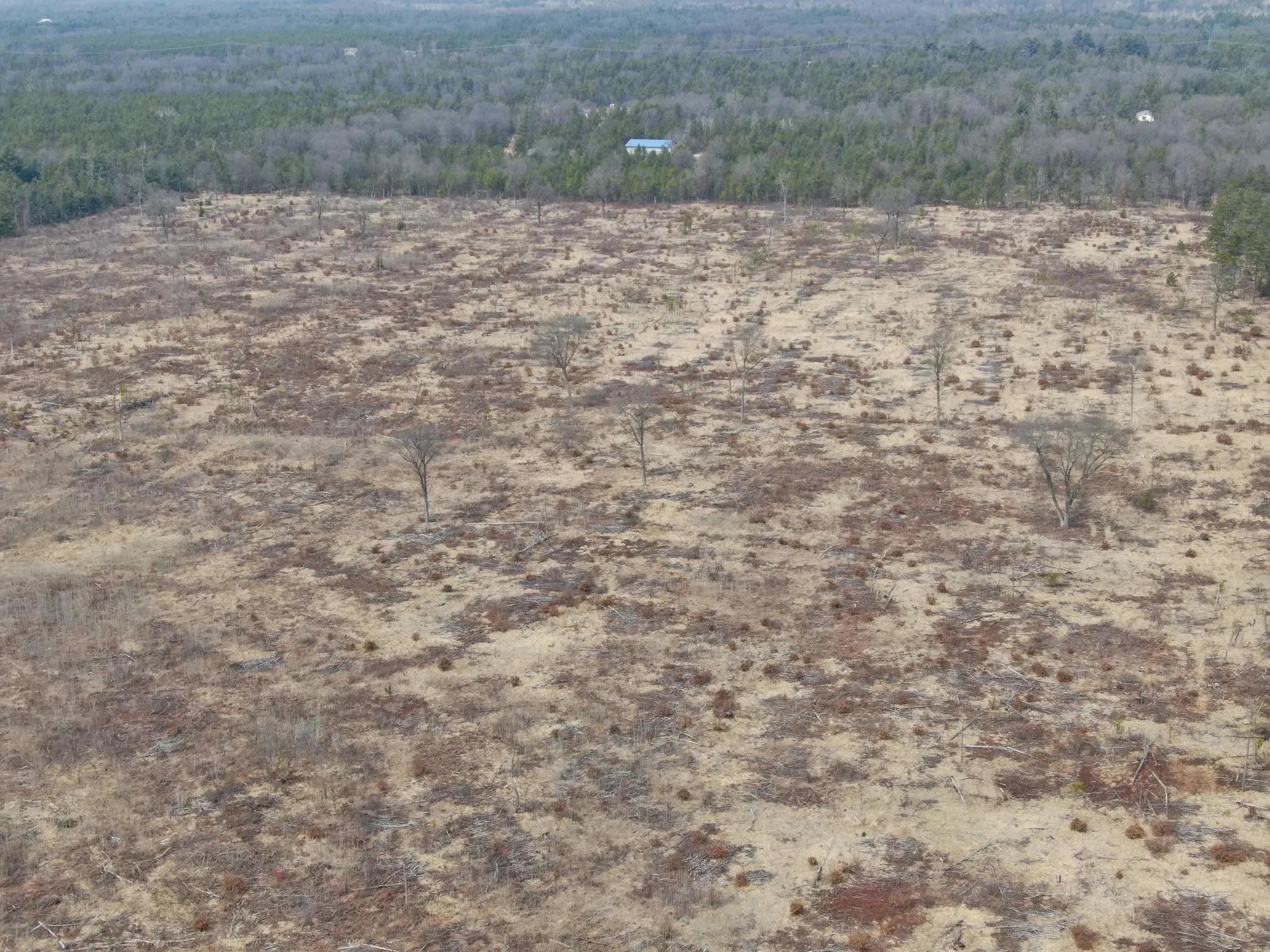 14597668-5