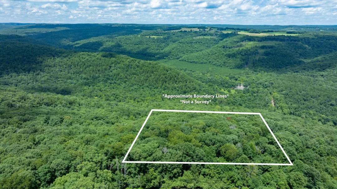 9.84 +/- Surveyed Unrestricted Land w/ Utilities | Clinton, AR | Van Buren County