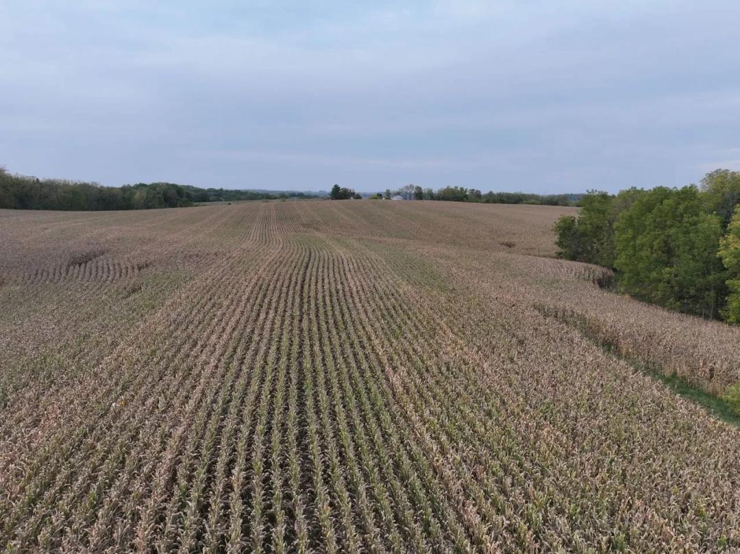 Listing #18583 - 67.01 acres in Fayette County, IA
