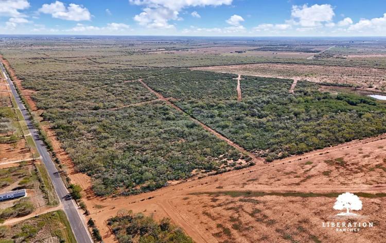 JOURDANTON 101 Tract 7 | 11+ Acres | Only $15K Down