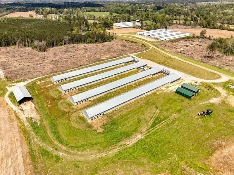 Pine Ridge Broiler Farm – Four House Farm in Simpson County, Mississippi
