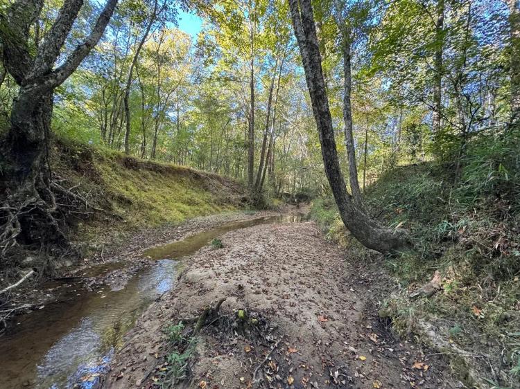 39 Acres in Lafayette County, MS