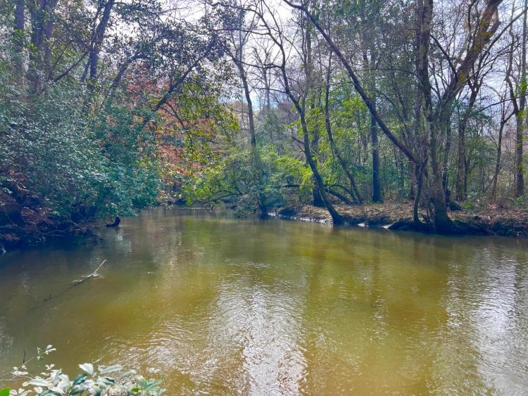 442.00 Acres at 0 County Road 303