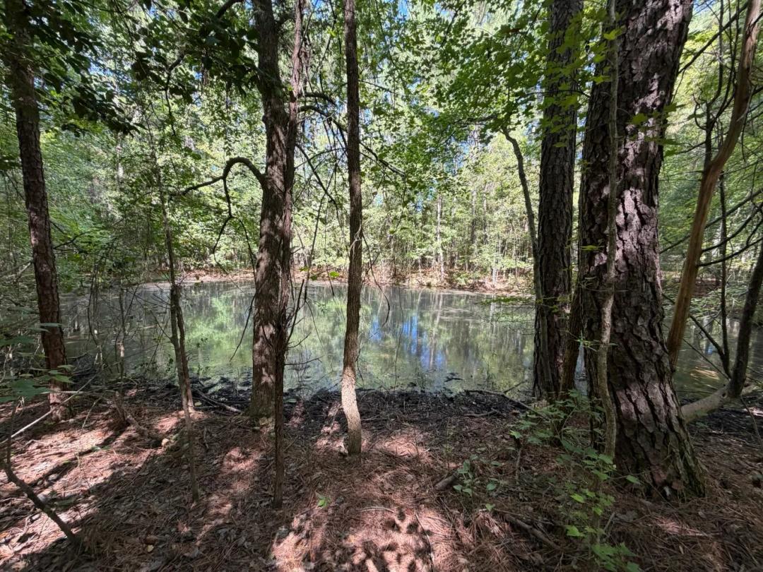 85.50 Acres at 11317 Sapony Church Rd