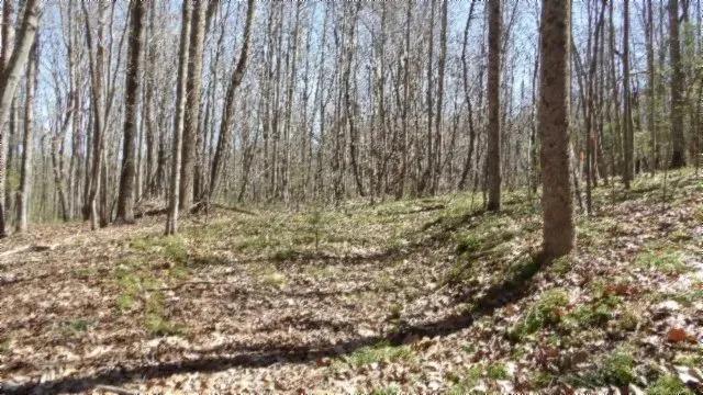 26.16 AC PRIVATE & SECLUDED / MTN VIEWS / CREEK / SEVERAL BUILDING SITES