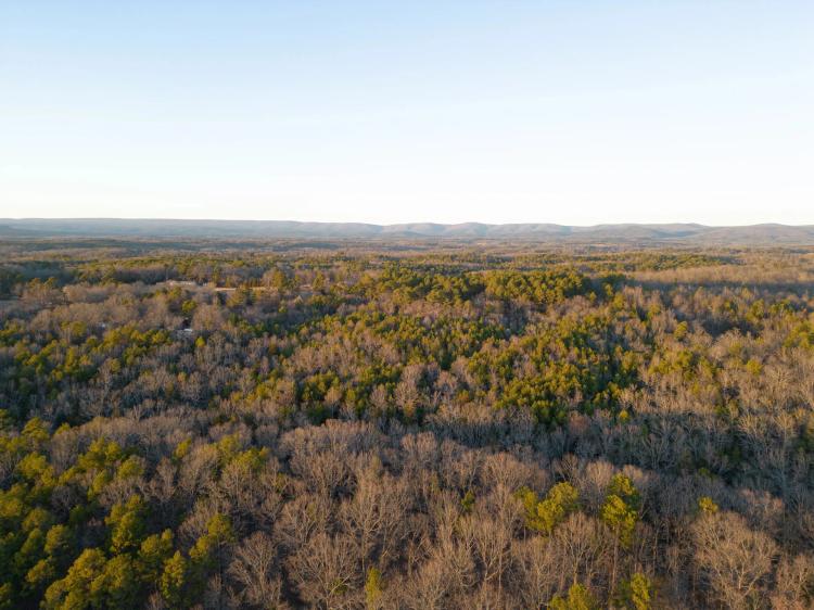20 Acre Mobile Home Park in Polk County, AR