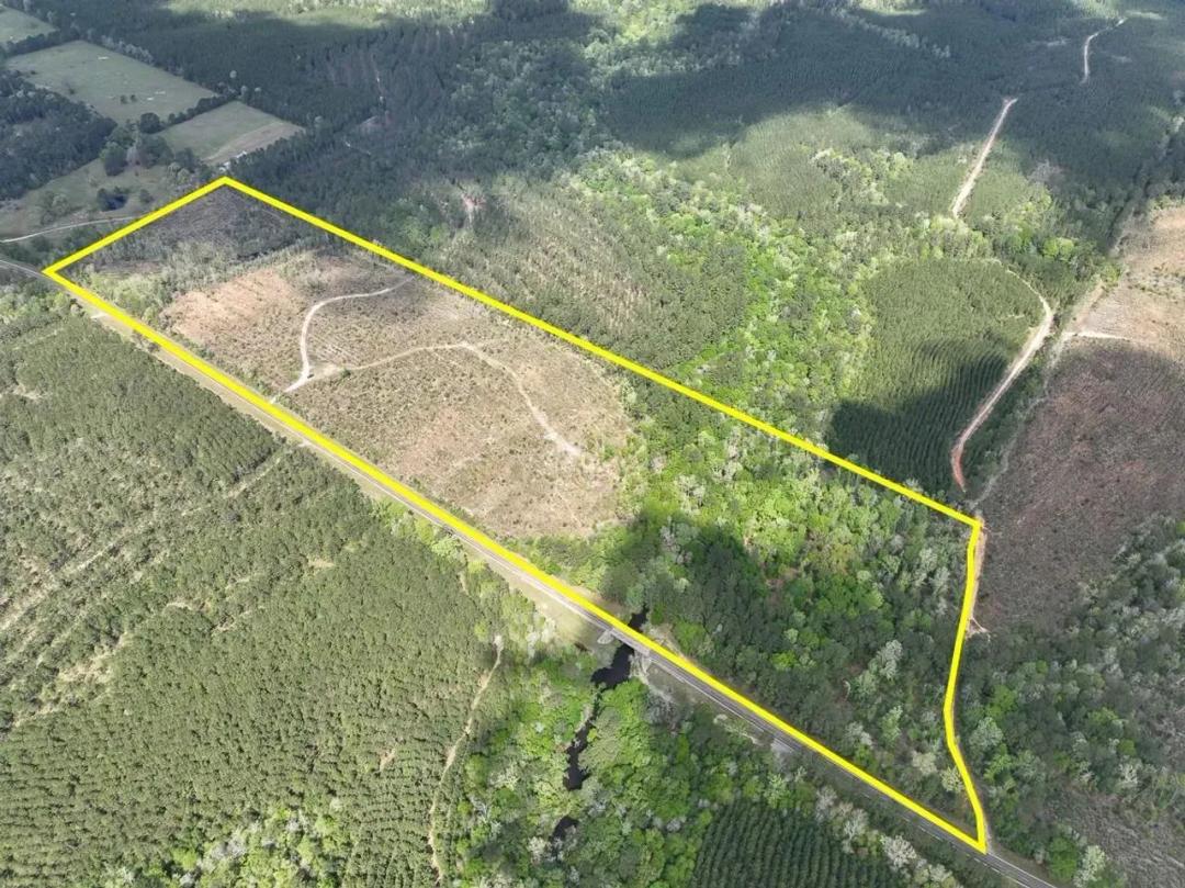41 Acres | FM 2827 | AA6241